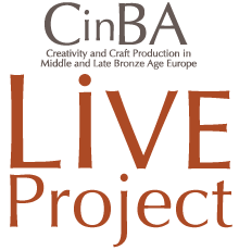 CinBA Live Project